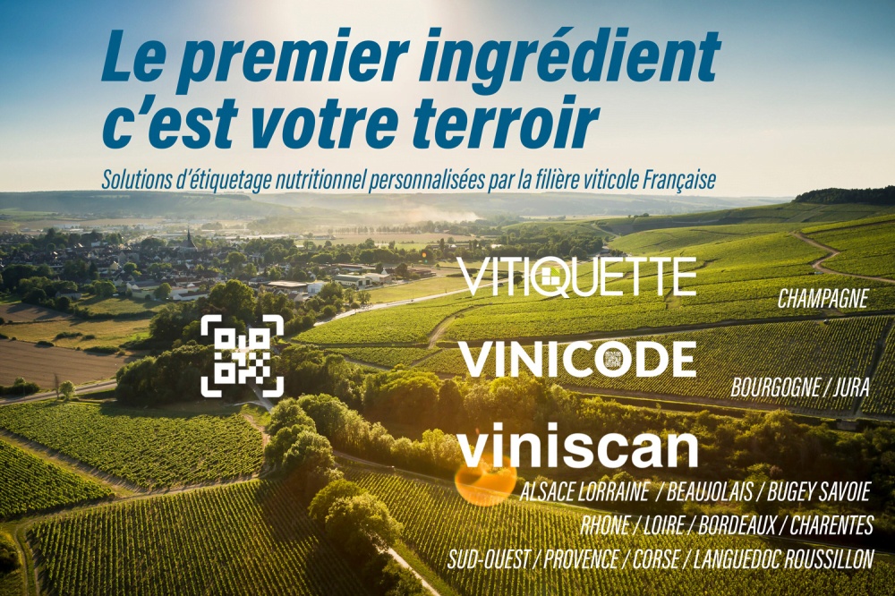 reglement europeen etiquetage du vin par qrcode pour ingredient et valeur nutritionnelle sur etiquette