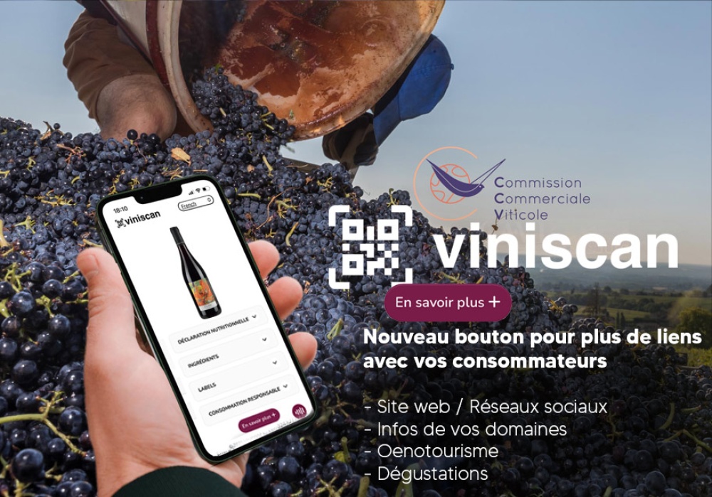 reglement europeen etiquetage du vin par qrcode pour ingredient et valeur nutritionnelle sur etiquette