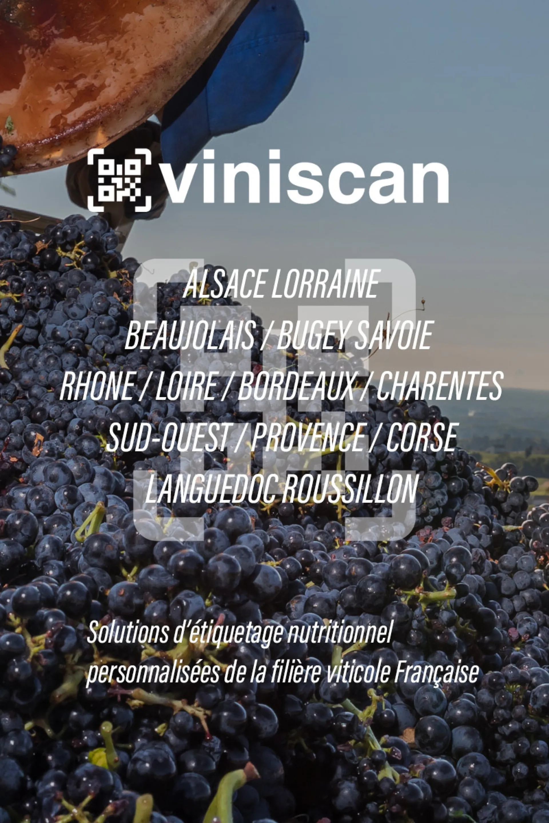 QRCODE VIN ETIQUETTE QR CODE Réglement Européen étiquetage ingrédient et valeur nutritionnelle des vins Etiquette vin 8 Décembre réforme ETIQUETAGE VINISCAN VITIQUETTE VINICODE ETIQUETTE VIN