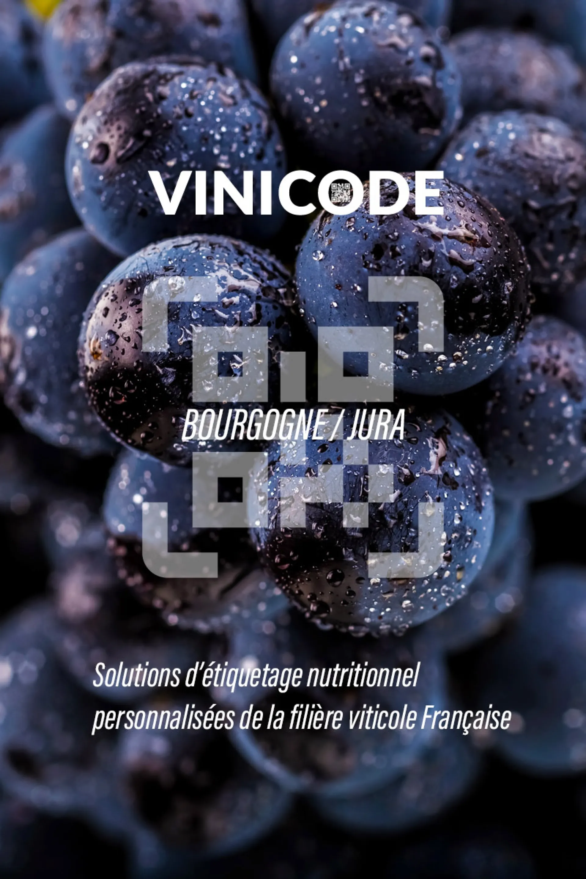 QRCODE VIN ETIQUETTE QR CODE Réglement Européen étiquetage ingrédient et valeur nutritionnelle des vins Etiquette vin 8 Décembre réforme ETIQUETAGE VINISCAN VITIQUETTE VINICODE ETIQUETTE VIN